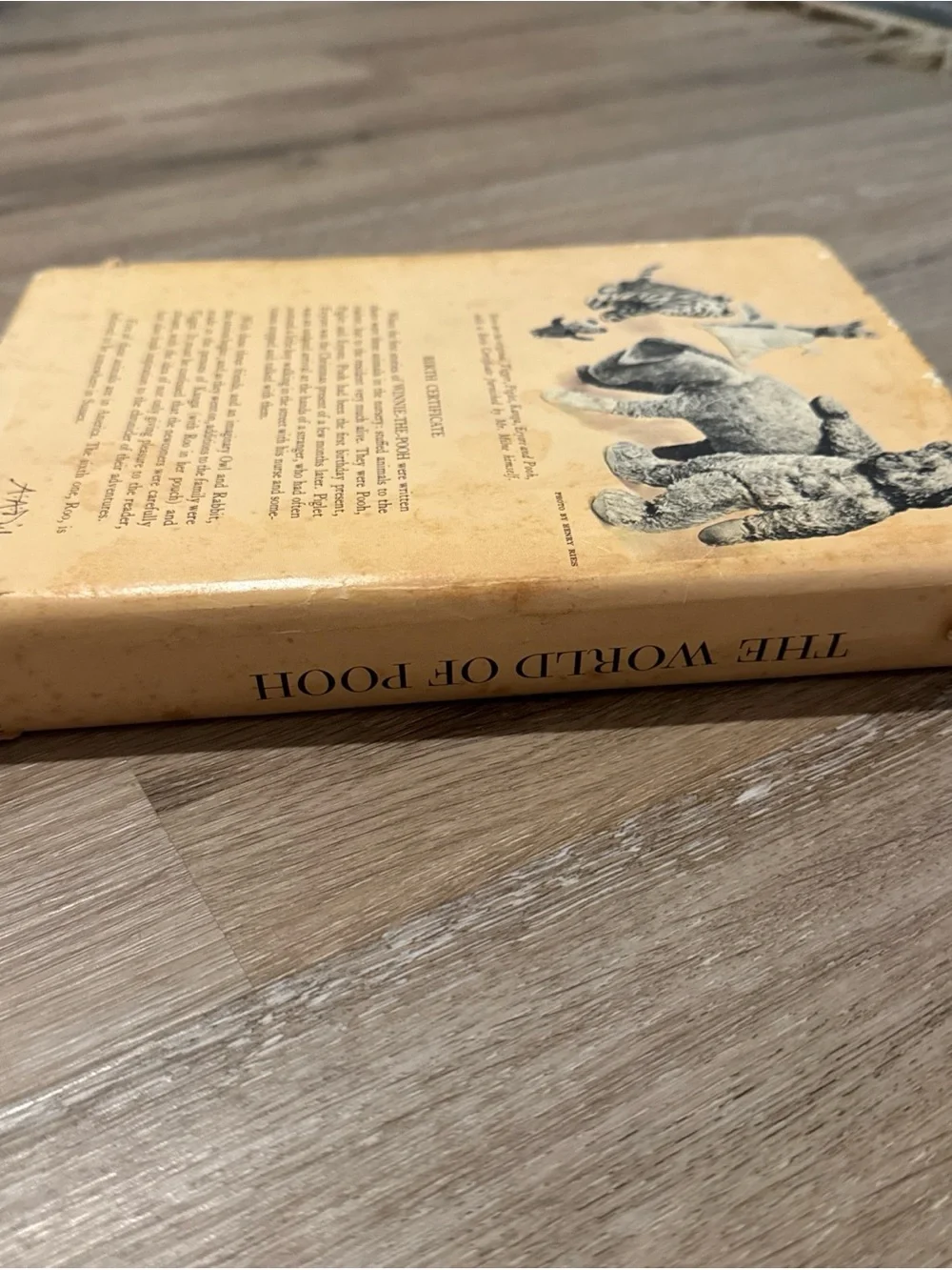 The World of Pooh A A Milne 1957 Illustrated Book, Hardcover With Dust Jacket
